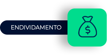 ENDIVIDAMENTO ENDIVIDAMENTO